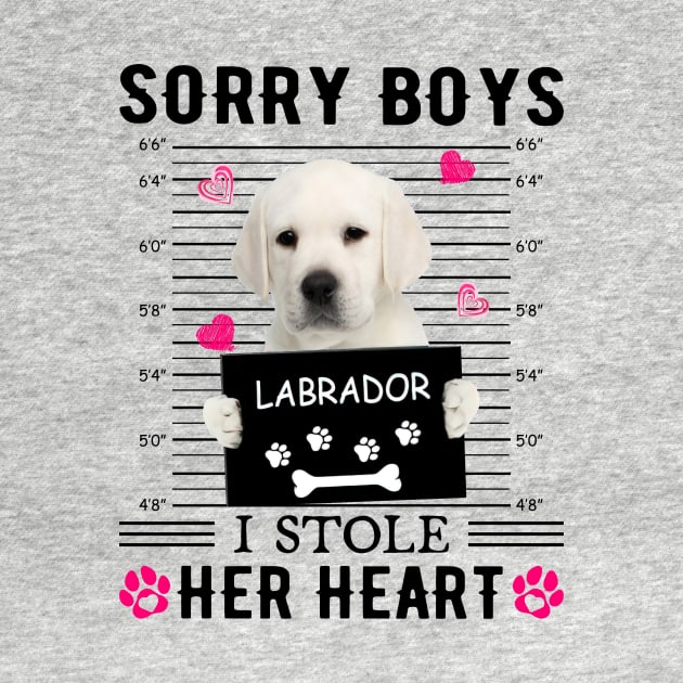 White Labrador Sorry Boys I Stole Her Heart Valentine by PlumleelaurineArt
